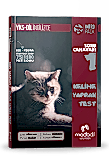 YKS-DİL İNGİLİZCE SORU CANAVARI 1 - KELİME YAPRAK TEST