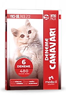 YKS-DİL INTROPACK - DENEME CANAVARI (6 DENEME)